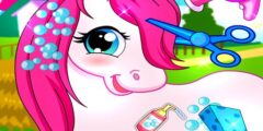 Horse Pet Salon 3D